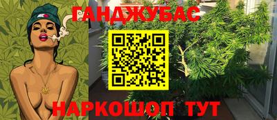 прущие крисы Изобильный