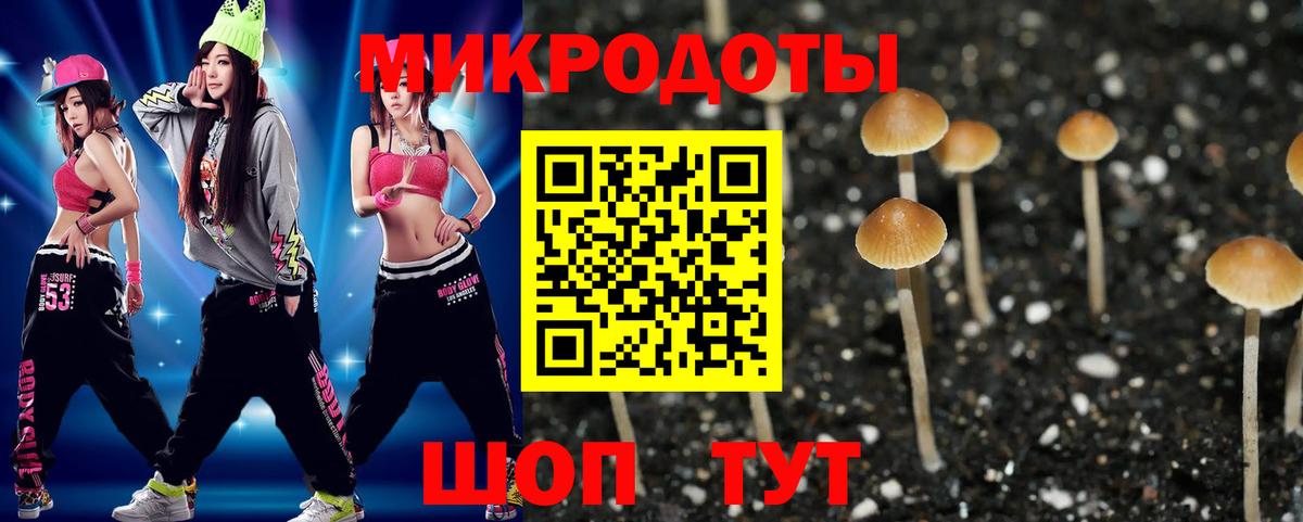 Галлюциногенные грибы Cubensis Кыштым