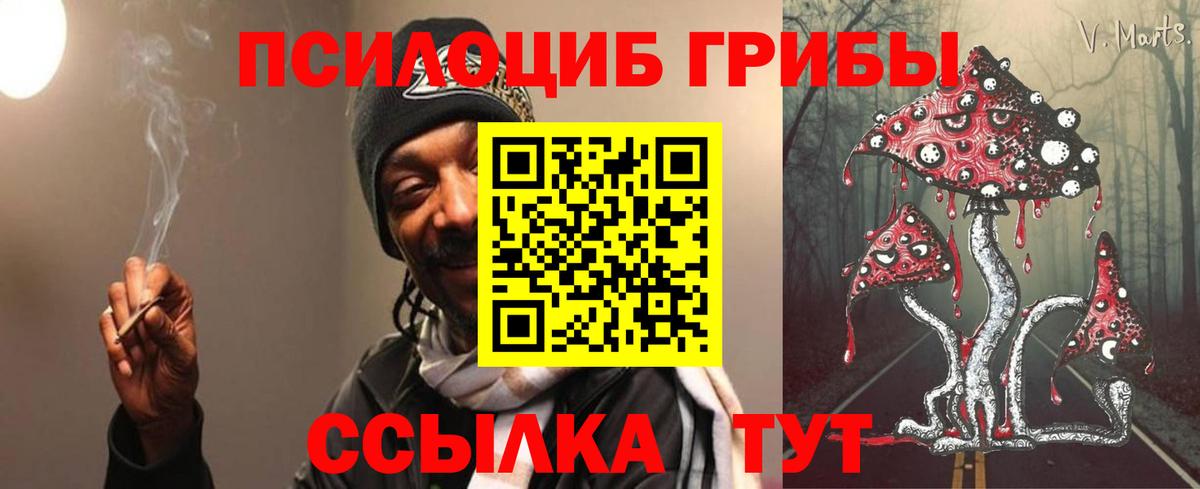 Псилоцибиновые грибы мицелий  Вход с VPN  Псилоцибиновые грибы Psilocybine cubensis  Кыштым 